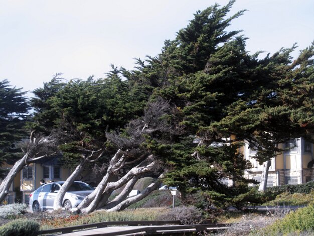Cambria